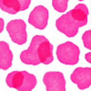 Meet your Posher, Jj